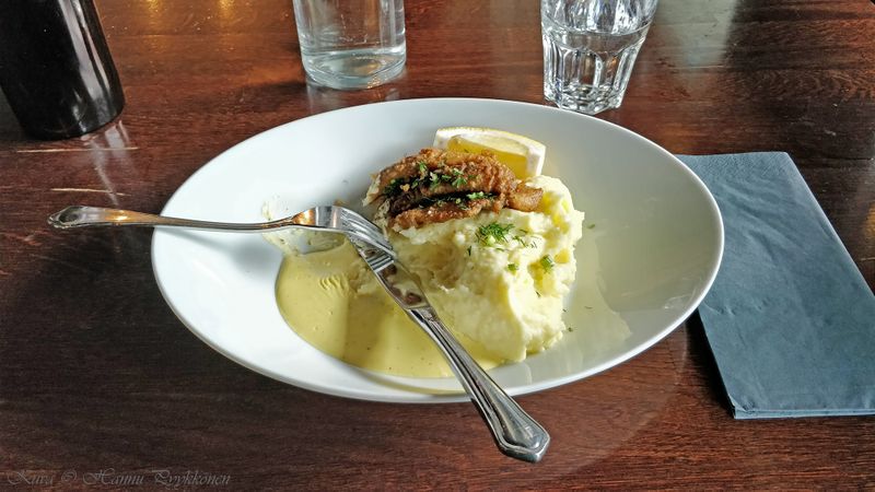 Tiedosto:Ruoka01 hap.jpg