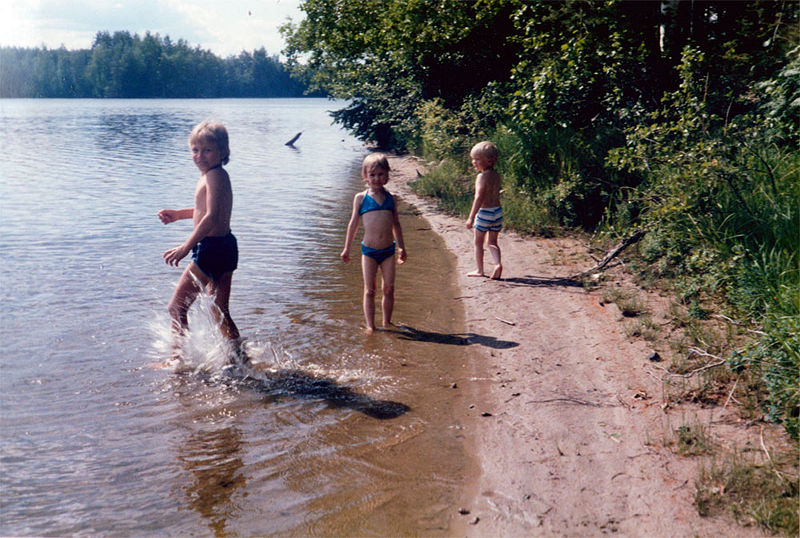 Tiedosto:Puroniemen ranta.jpg