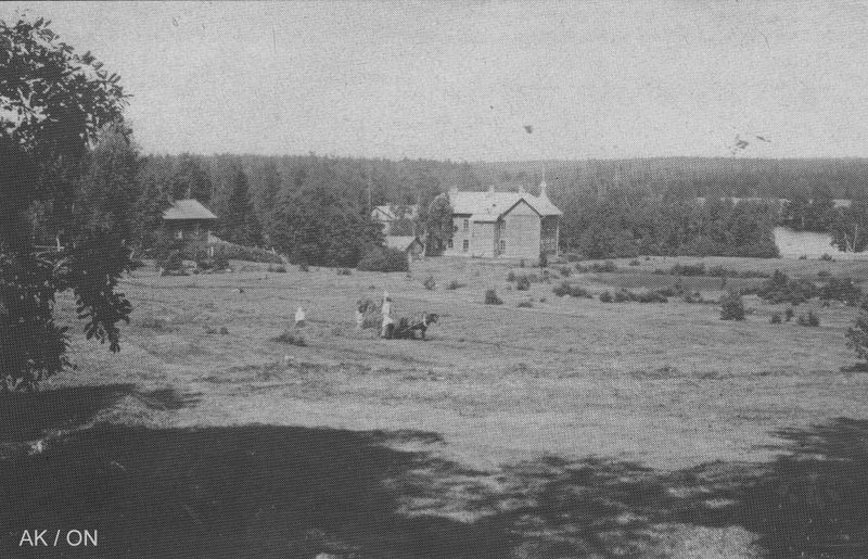 Tiedosto:Lintula 02 vanha ak.jpg