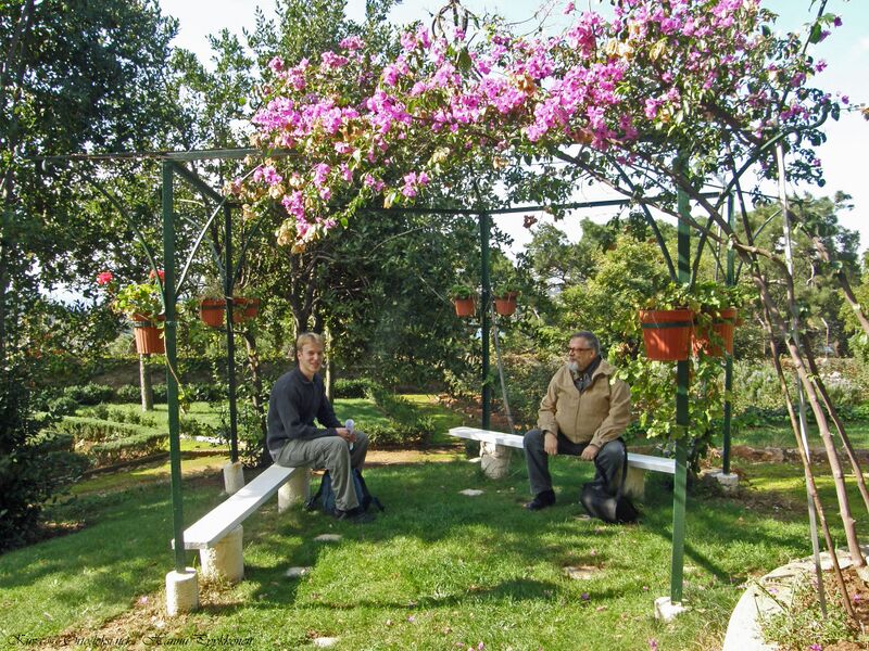 Tiedosto:03 halki knopoli hap.jpg