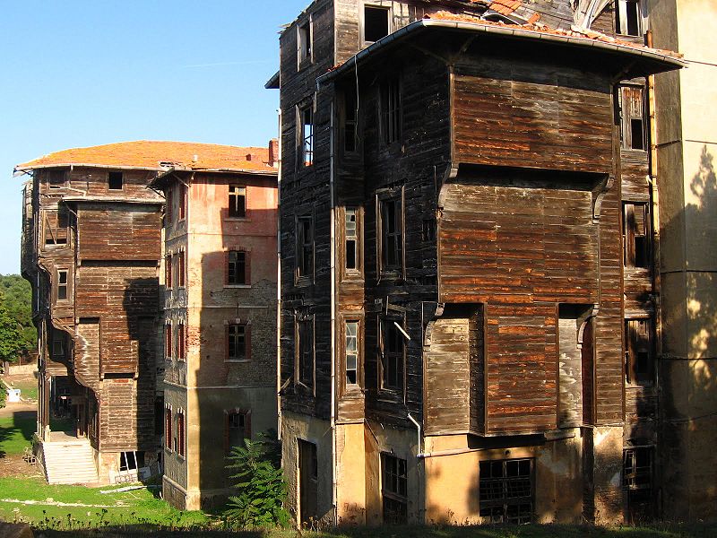 Tiedosto:Orpokoti prinssisaaret.jpg